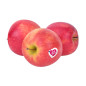 POMME PINK LADY 6,5KG